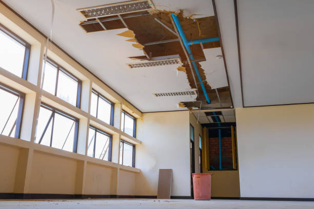 Best Mold removal after water damage  in Huxley, IA