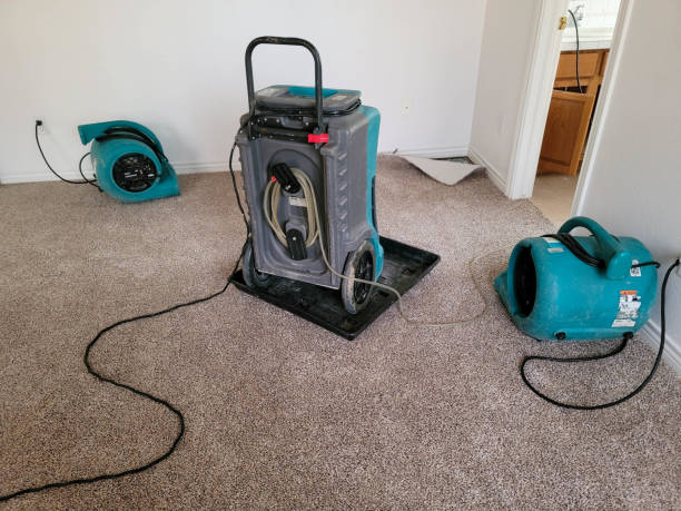 Best Flood damage cleanup  in Huxley, IA