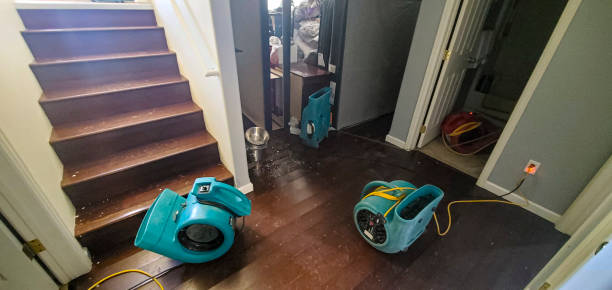 Best Local water damage restoration  in Huxley, IA