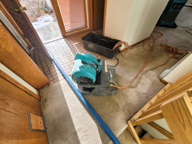 Best Residential water damage restoration  in Huxley, IA