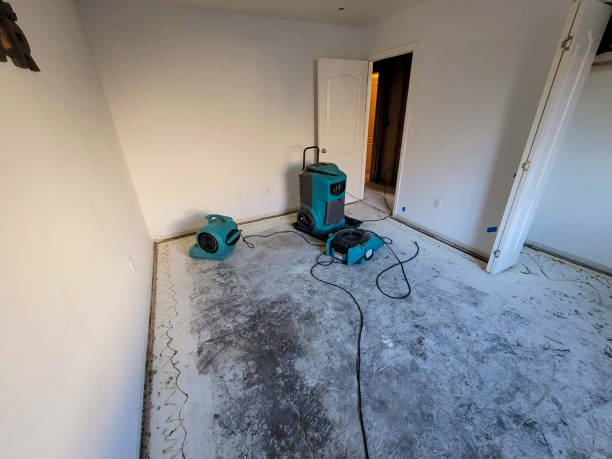  Huxley, IA Water damage restoration Pros