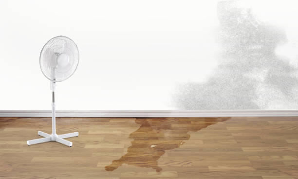 Best Water damage restoration near me  in Huxley, IA