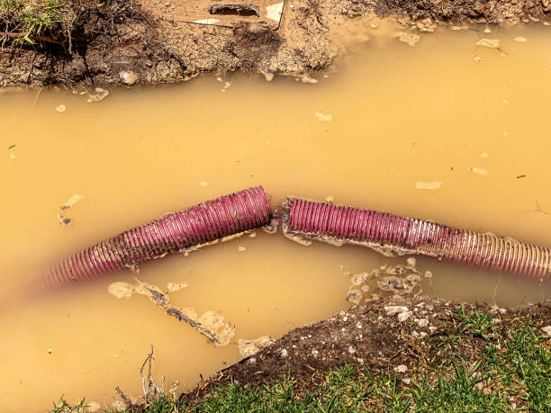Best Water damage cleanup near me  in Huxley, IA
